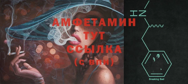 дмт Алагир