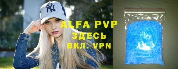ГАЛЛЮЦИНОГЕННЫЕ ГРИБЫ Тайга