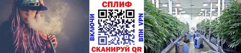 наркошоп  Енисейск  Каннабис Amnesia 
